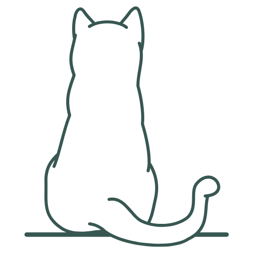 Cat Cryptorchid