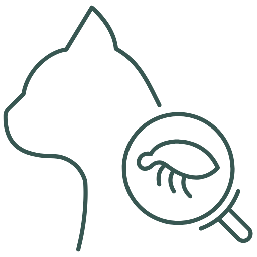 Cat Flea Heartworm Prevention