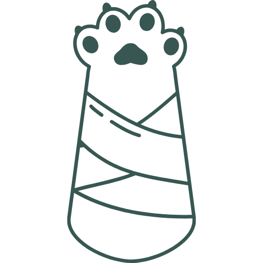 Cat Laceration Repair