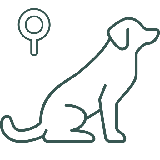 Dog C-Section W Spay
