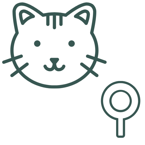 Feral Community Cat Spay Neuter